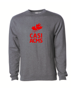 Sweatshirt - Gunmetal Heather / Chandail en molleton – Gris chiné foncé