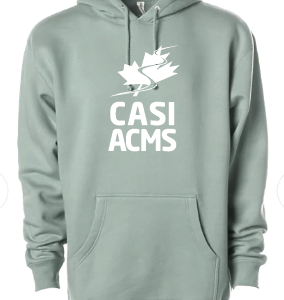 Hoodie - Dusty Sage / Chandail à capuchon – Vert sauge poudré